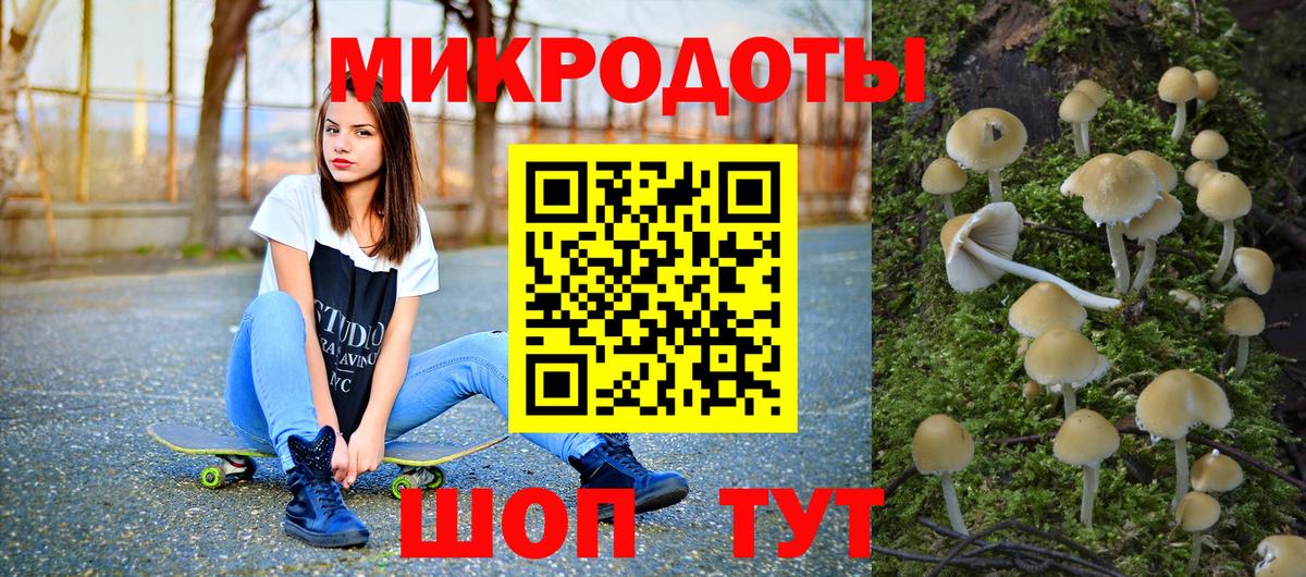 Галлюциногенные грибы Cubensis Вязьма