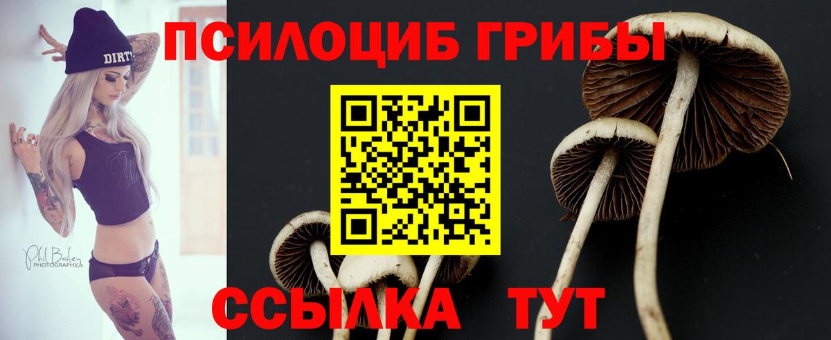 Псилоцибиновые грибы ЛСД  Псилоцибиновые грибы прущие грибы  Вязьма  Вход с VPN 