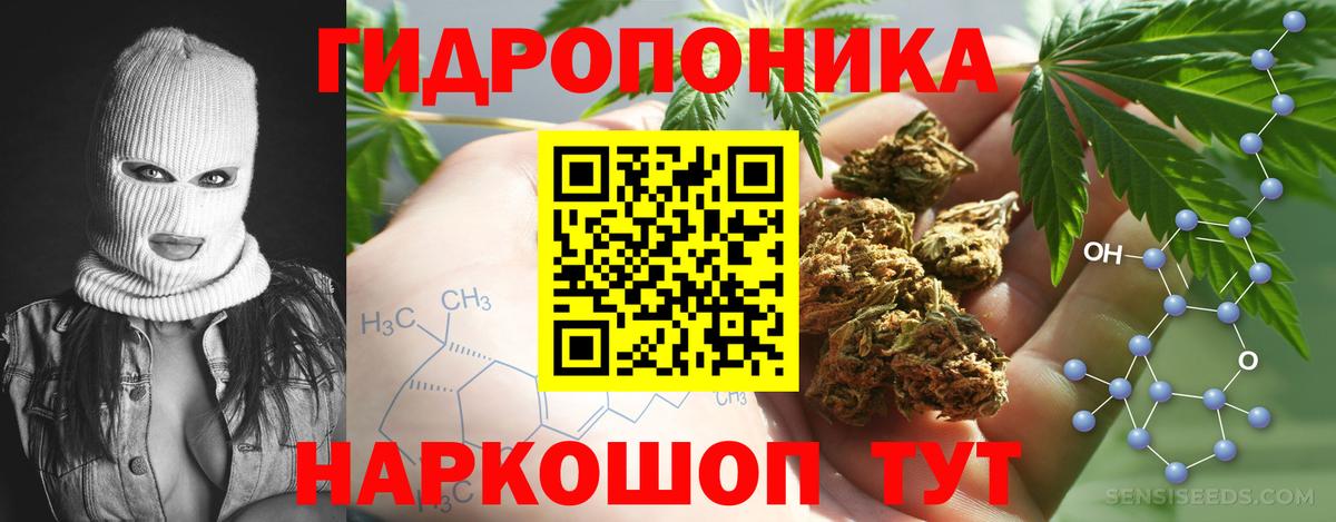Канабис семена Вязьма